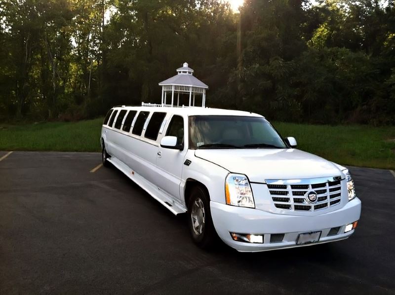 Denver 15 Passenger Limo