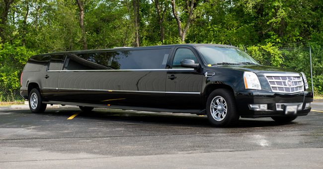 Denver 20 Passenger Limo